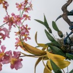Emily Jan’s The World is Bound by Secret Knots at Eastern Edge Gallery
